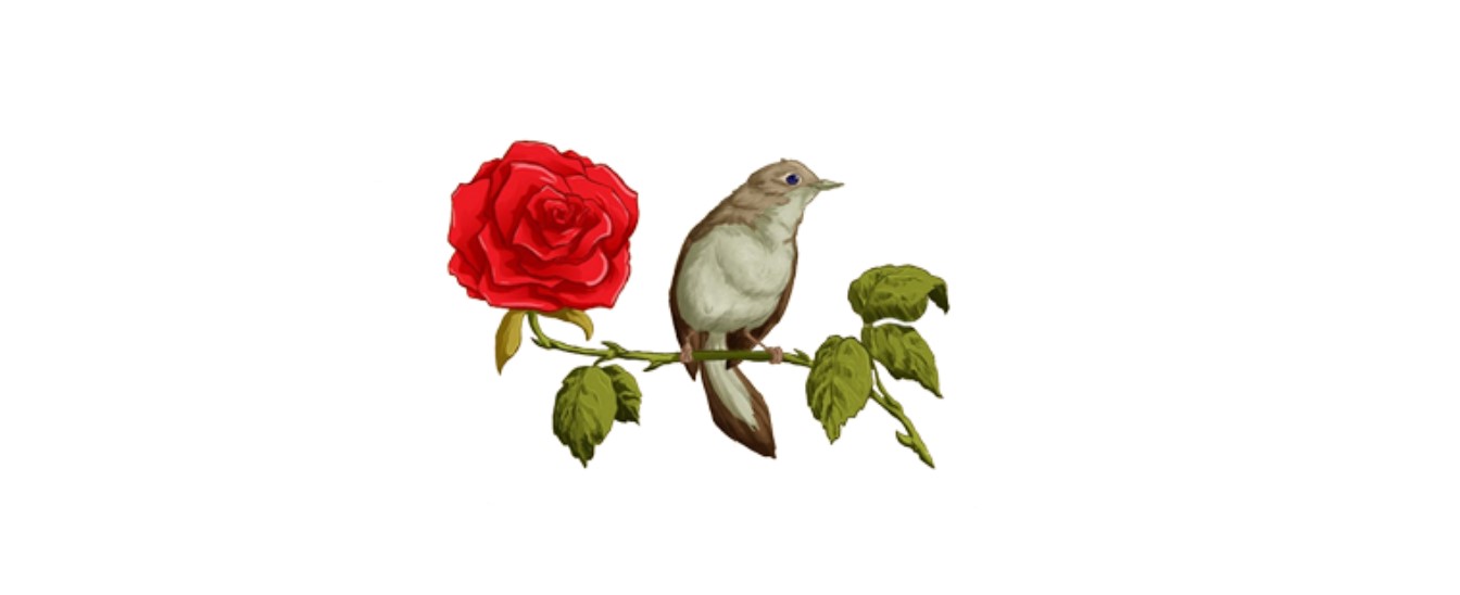 Konu resmi
